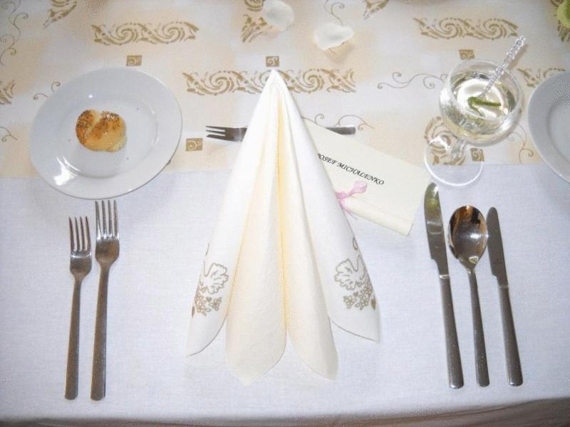 Hotel Epocha Janov nad Nisou Bagian luar foto